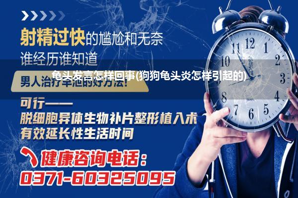 龟头发言怎样回事(狗狗龟头炎怎样引起的)