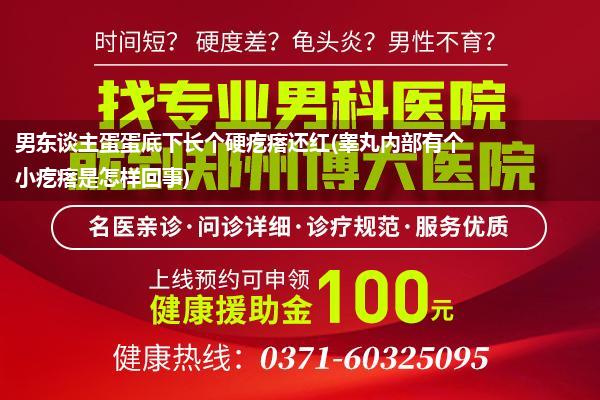 男东谈主蛋蛋底下长个硬疙瘩还红(睾丸内部有个小疙瘩是怎样回事)